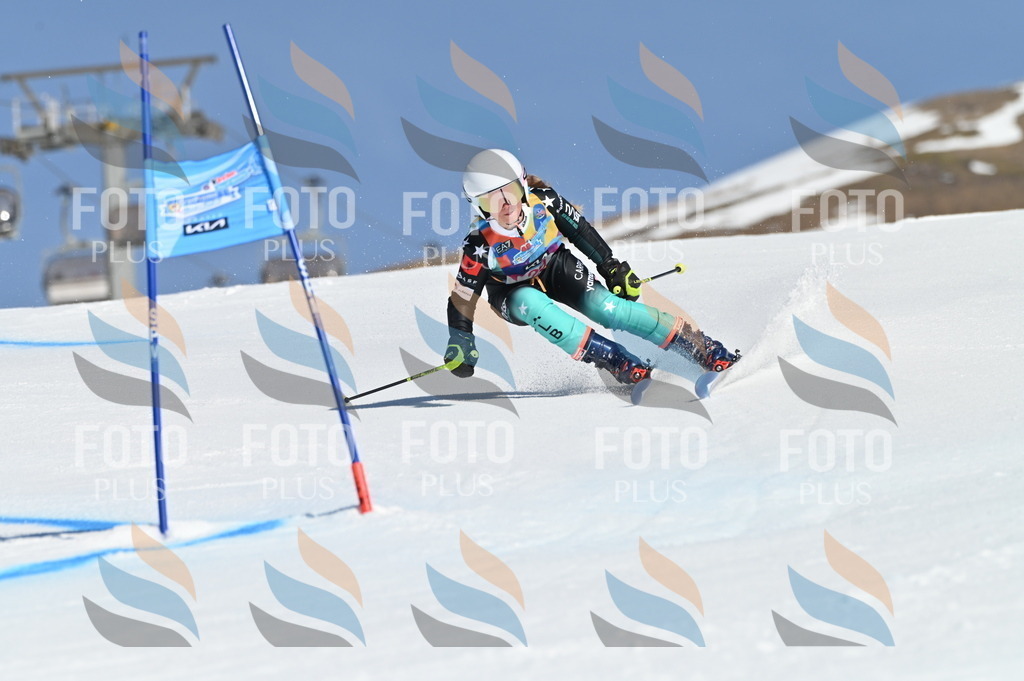 BGV_8133 | holidayphoto