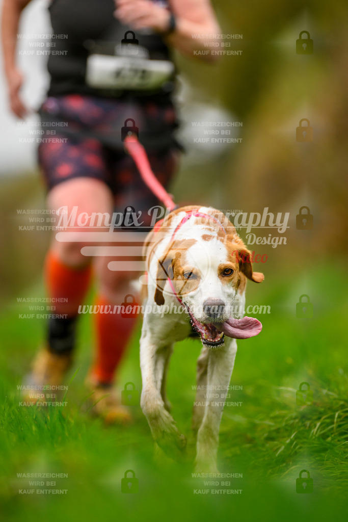 MompixPhotography_20TSB_E8_Run-55 | PayLife