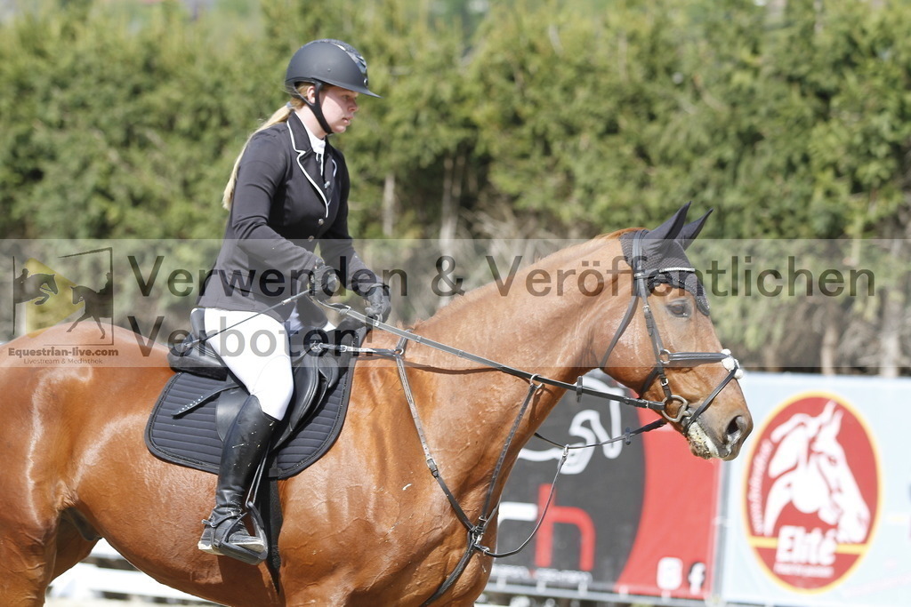 _MG_7787 | equestrian-live-com