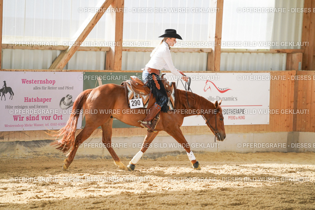 DSC05988 | Pferdegrafie