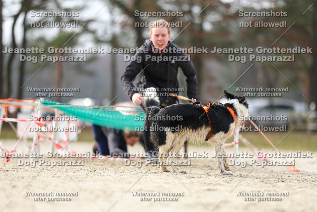 Dog Paparazzi - Strongdog North Mrz26-5386 | Dog Paparazzi Jeanette Grottendiek Fotografie & Videografie - Realisiert mit Pictrs.com