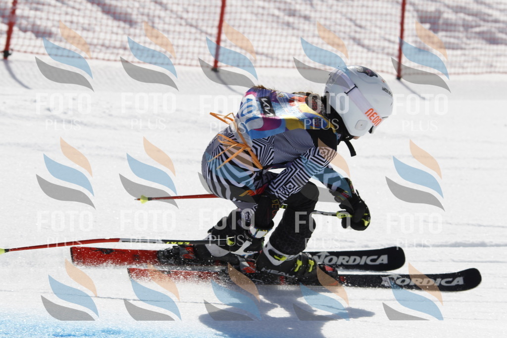 _U3G0347 | holidayphoto