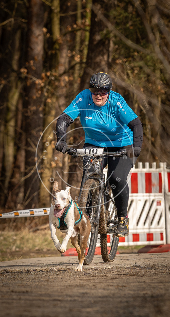 DV3A4278 | Hundefotografie, Tierfotograf, Pfotenfotografie, Fotoshooting Hund, Hunde Portrait, Hundesport, Hundeportraits, Heideshooting, Hunde, Sportfotograf, Hundefotograf, Turnierhundsport, THS,  - Realisiert mit Pictrs.com