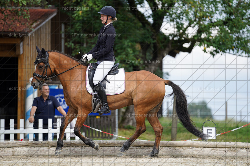 20230826-FAH05412 | Forstinning, 2023, Dressurturnier, Turniersportbilder, Turnierfotografen Bayern, Fotoagentur Herrmann, Reitsportfotografie, Turnierbilder