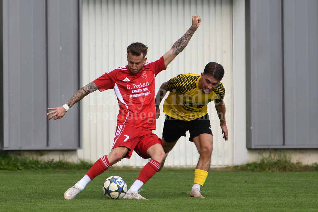 TSV Seebach : FC AmbergSpVgg GW Deggendorf : TSV Karpfham | Jonas Brunner (TSV Seebach #7) erzielte mit einem bemerkenswerten Weitschuss das 4:0 - Realisiert mit Pictrs.com
