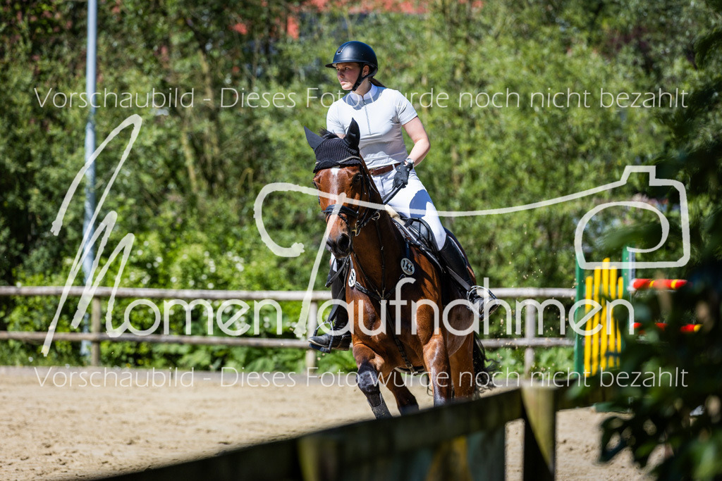 Donop24-M-Spr-067 | MomenTaufnahmen Pferdesportfotos