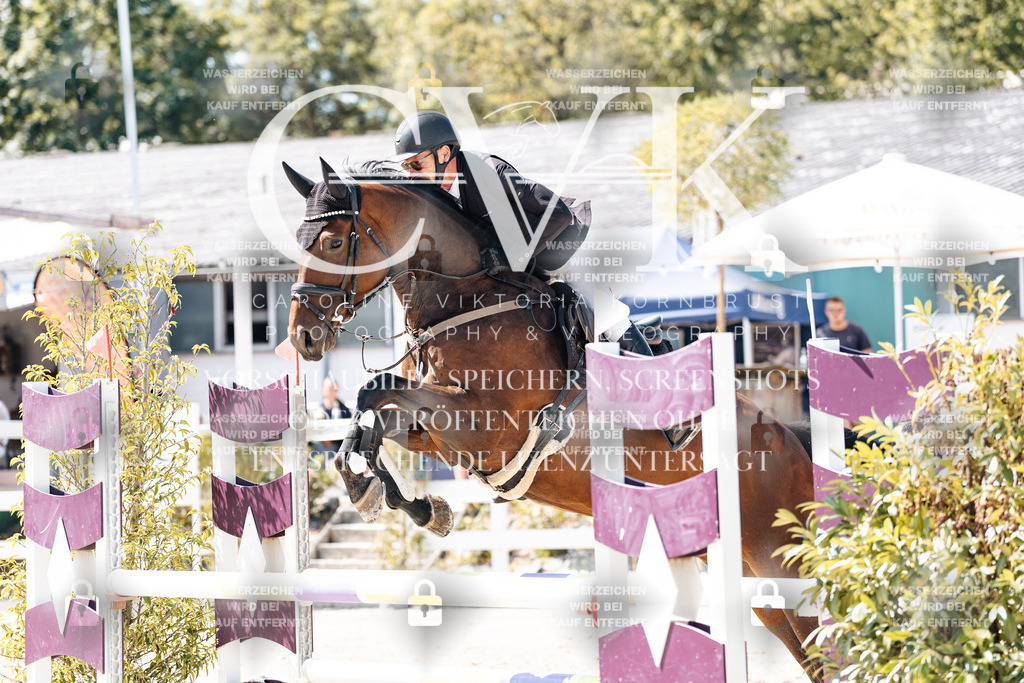 CK909048 | Turnierfotografie Pferdefotografie Trier Rheinland-Pfalz Pferdesport Reitsport Tierfotografie Sportfotografie Pferdevideo Pferdevideografie Equestrianvideography equestrianphotography  - Realisiert mit Pictrs.com