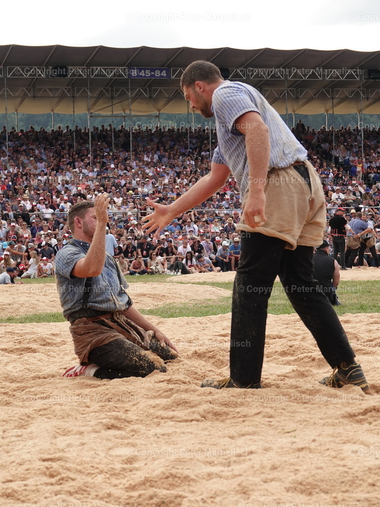 DSC05081 | Schwingen - Realisiert mit Pictrs.com