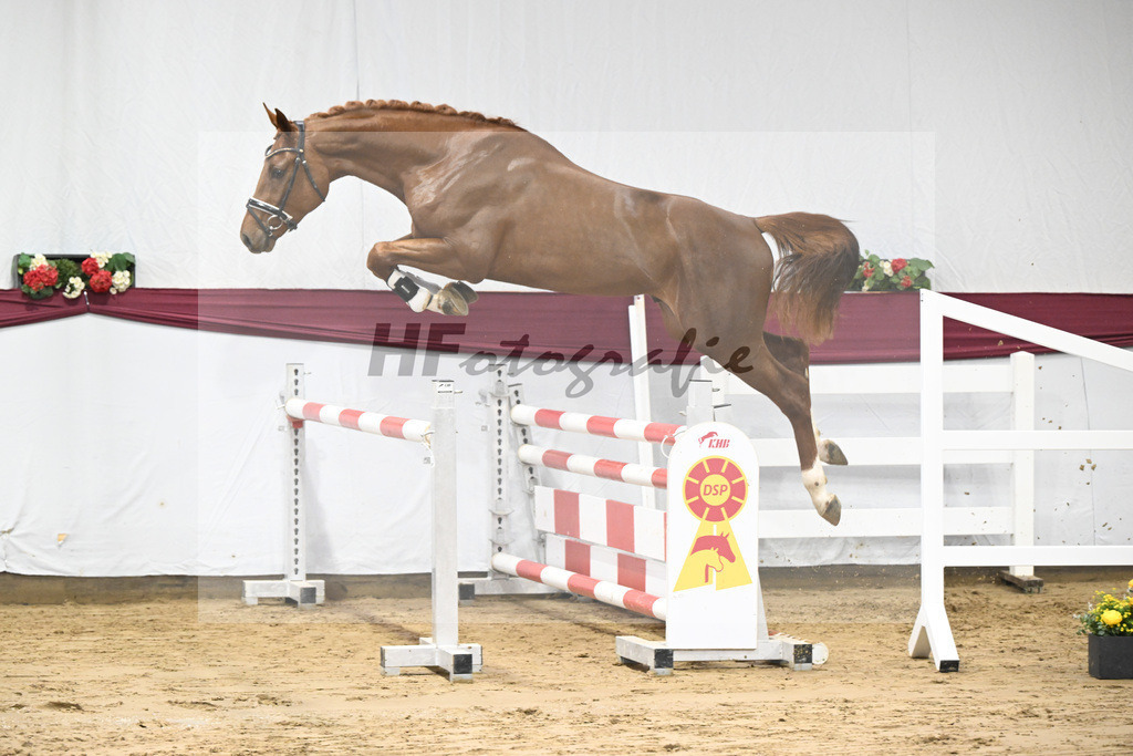 Kat-Nr. 82 Orient Express ES x Dibadu L_Markus Denzel_47252618 | hf-fotografie - Realisiert mit Pictrs.com