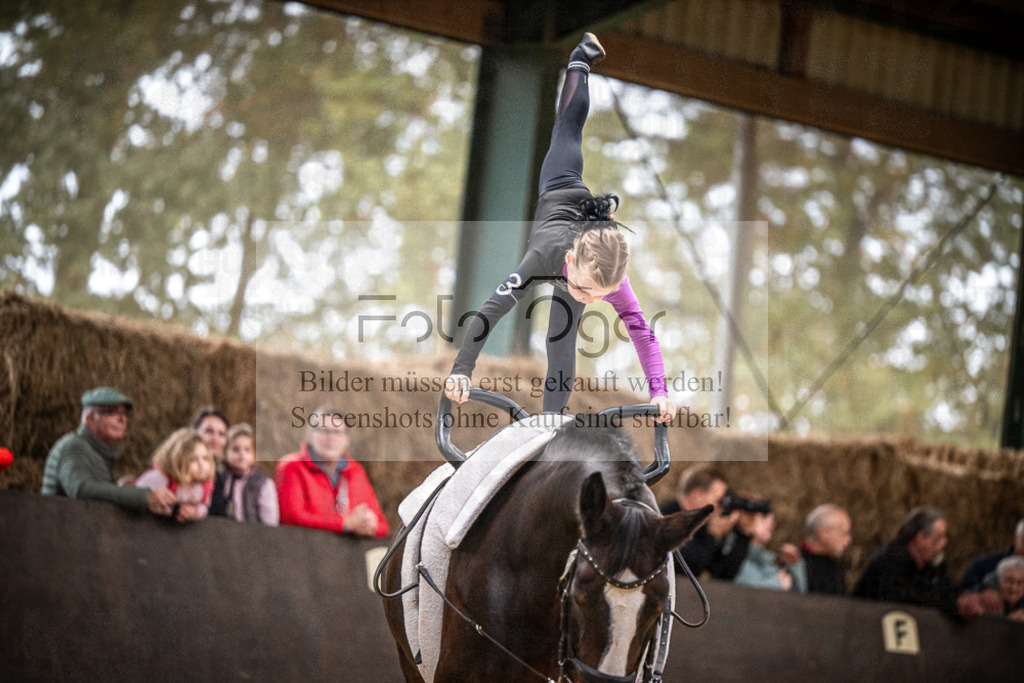 DOS_0139 | Entdecke hochwertige Reitturnierfotos von Foto Oger. Professionell, emotional und authentisch – jetzt Lieblingsmomente im Shop bestellen.Deutschlandweite Turnierfotografie. - Realisiert mit Pictrs.com
