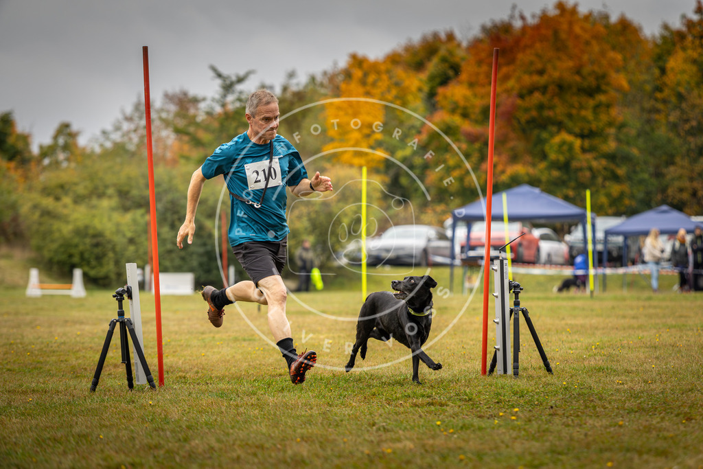 Pfotenfotografie_DV3A2387 | Hundefotografie, Tierfotograf, Pfotenfotografie, Fotoshooting Hund, Hunde Portrait, Hundesport, Hundeportraits, Heideshooting, Hunde, Sportfotograf, Hundefotograf, Turnierhundsport, THS,  - Realisiert mit Pictrs.com
