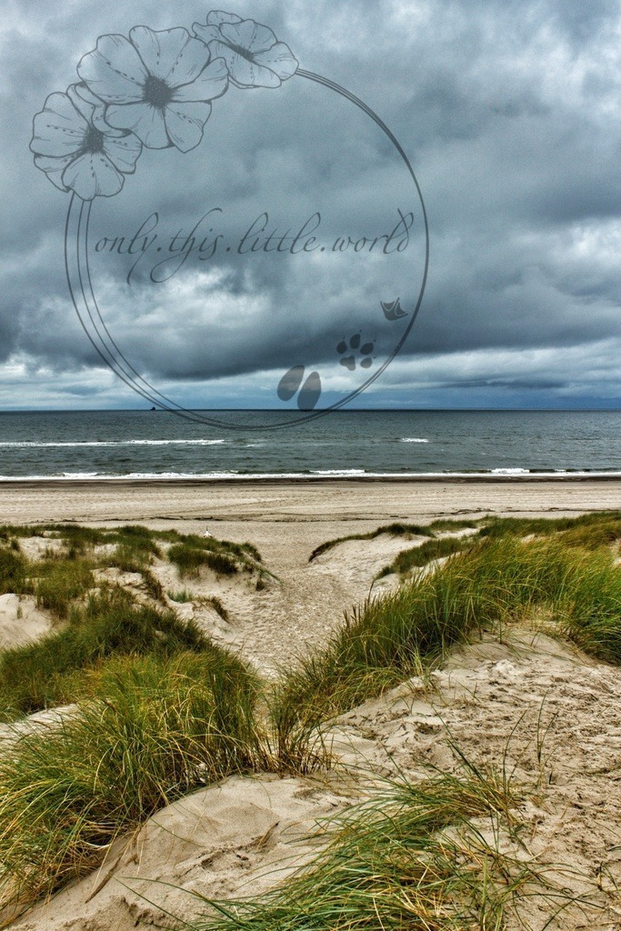 IMG_8551-01 | only.this.little.world - Realisiert mit Pictrs.com