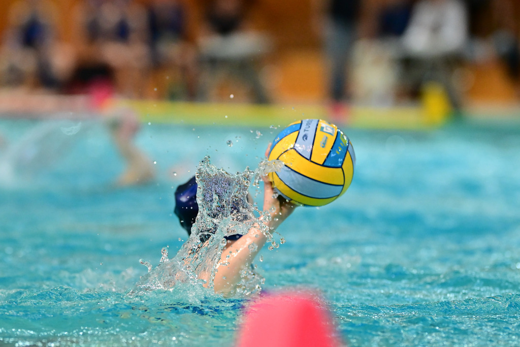 Wasserball I Frauen I Saison 2024-2025 I Bundesliga I 9. Spieltag I Eimsbütteler TV - SV Blau-Weiß Bochum | Der Sportfotograf. - Realisiert mit Pictrs.com