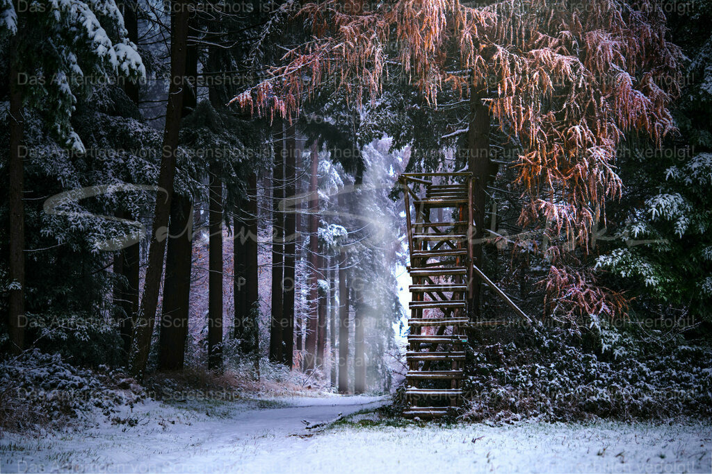 Wandbild "Der erste Schnee mit Hochsitz" im Querformat | People- und Tierfotografie, Imageaufnahmen, Veranstaltungsfotografie und Wandbilder aus der Natur ★ Made in Germany ✔️ Druck + Downloads ✔️ Naturfotografie in Top Qualität ★ schneller Versand, weltweite Lieferung! - Realisiert mit Pictrs.com