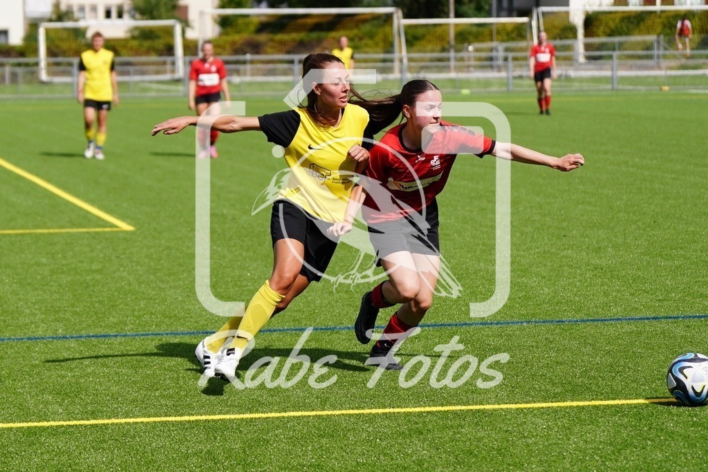 SON08922 | rabefotos