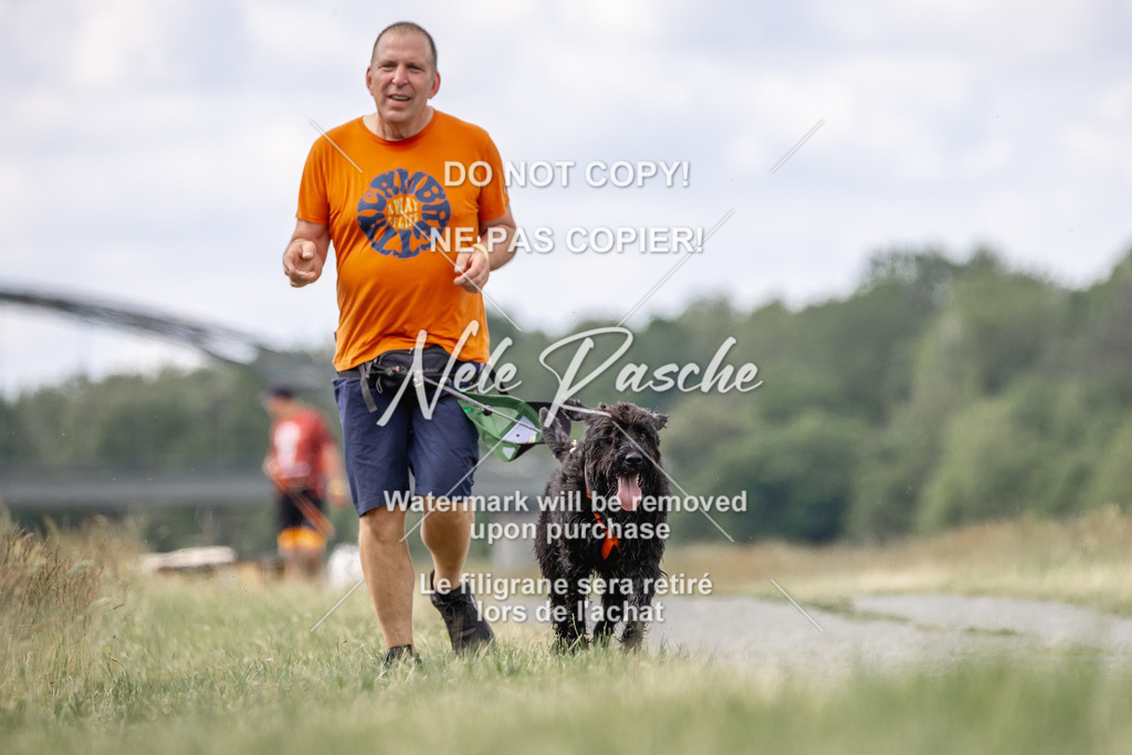 nelerasche_BuHu2026_SaCC1100-1200_41 | nelerasche