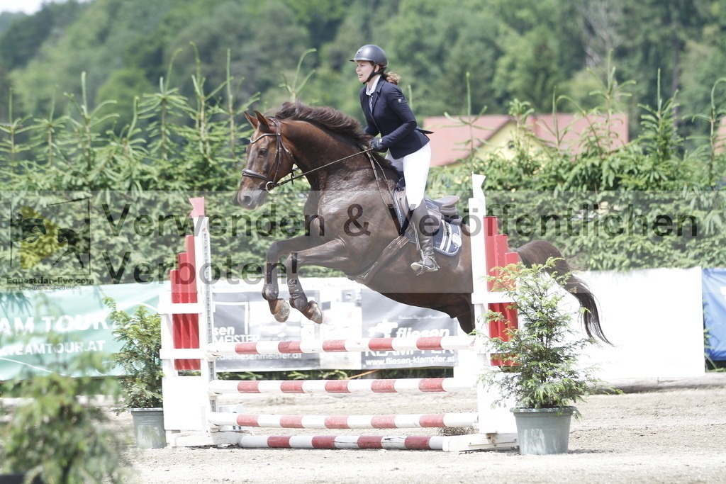 _MG_5227 | equestrian-live-com