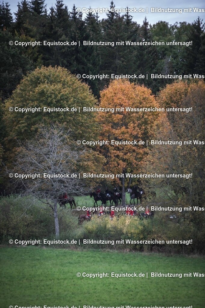 20241013_Jagd-Marbach_0264 | Foto: Thomas Hartig