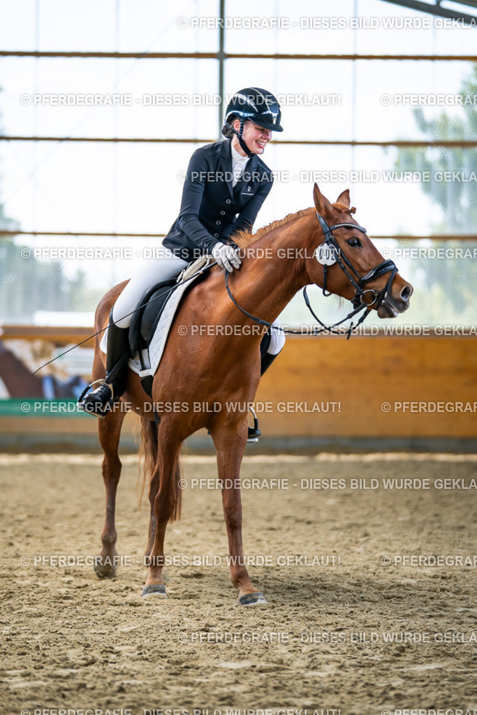 DSC05294 | Pferdegrafie