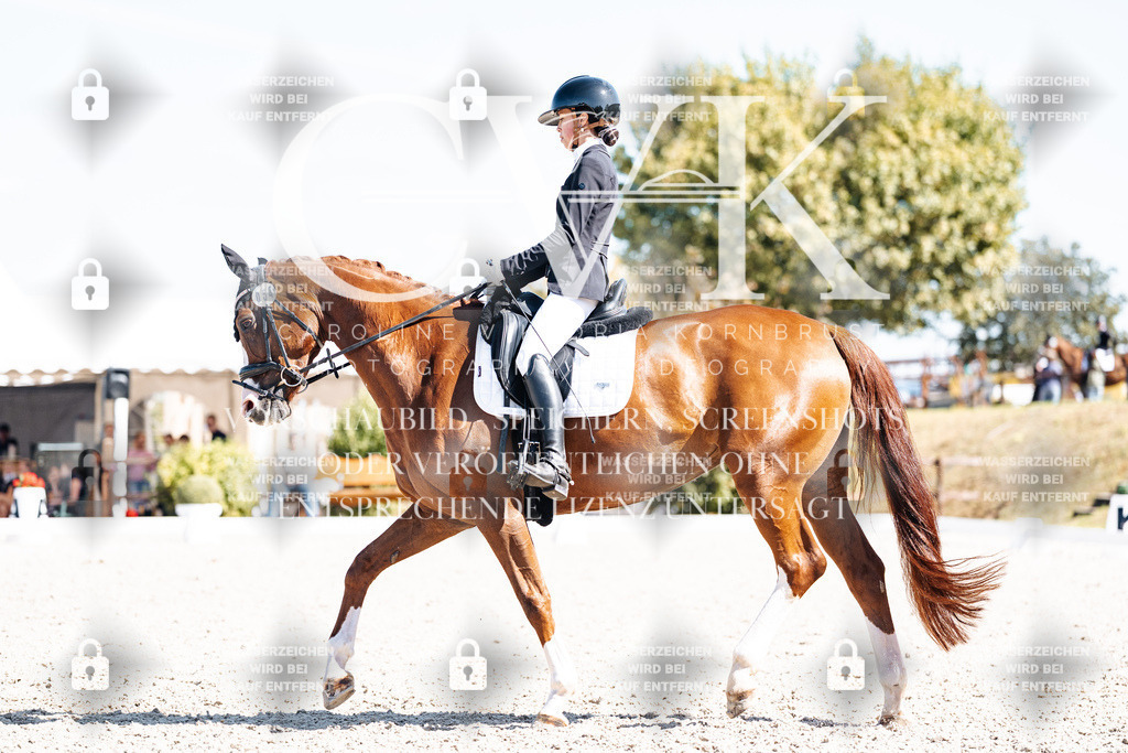 CK904103 | Turnierfotografie Pferdefotografie Trier Rheinland-Pfalz Pferdesport Reitsport Tierfotografie Sportfotografie Pferdevideo Pferdevideografie Equestrianvideography equestrianphotography  - Realisiert mit Pictrs.com