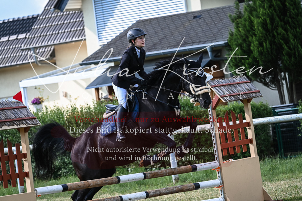 DSC_7886 | Pferde- und Turnierfotografie in Westsachsen. Pferdeportraits, Auftragszeichnungen und intuitive Kunst.