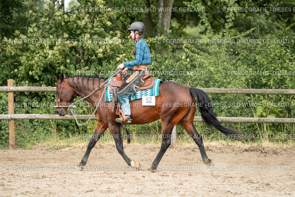 DSC03793 | Pferdegrafie