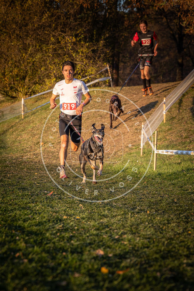 CaniXpix_0L8A1553 | Hundefotografie, Tierfotograf, Pfotenfotografie, Fotoshooting Hund, Hunde Portrait, Hundesport, Hundeportraits, Heideshooting, Hunde, Sportfotograf, Hundefotograf, Turnierhundsport, THS,  - Realisiert mit Pictrs.com