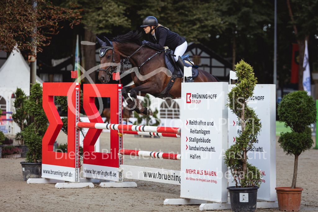 240912_OWLCh_AmateurS-202 | Deine schönsten Turniermomente als professionelle Fotos! Entdecke hochwertige Pferdesport-Fotografie im Online-Shop. Jetzt Fotos finden & bestellen!