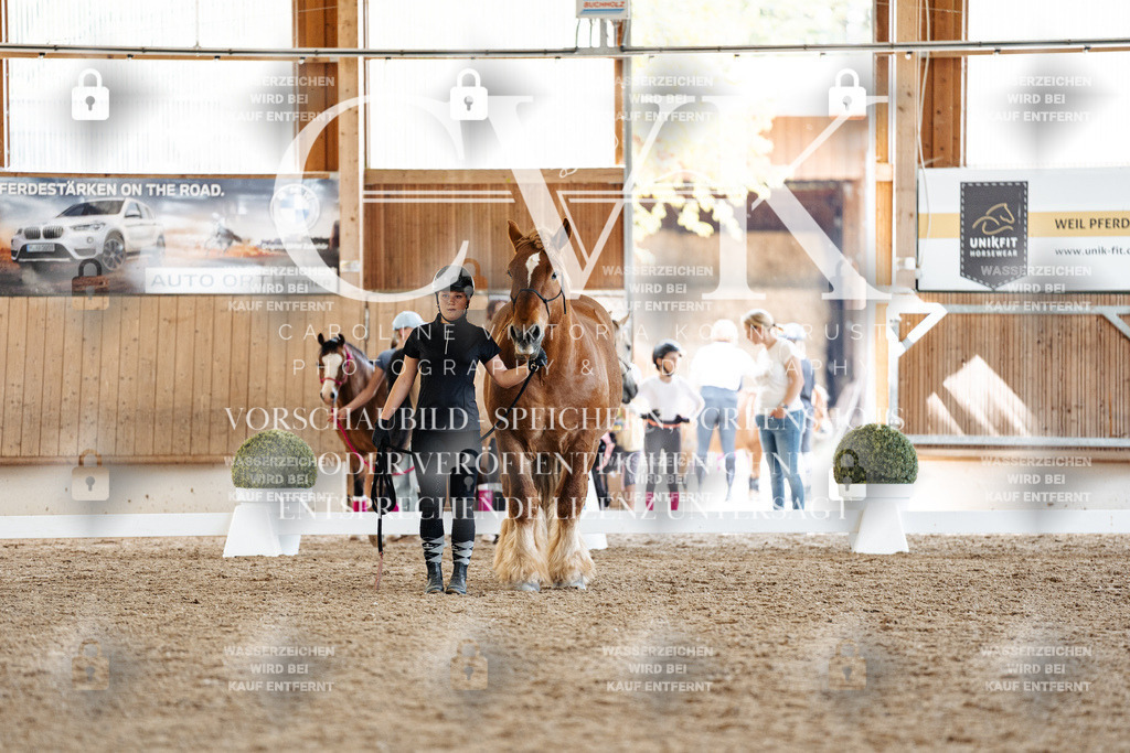 CK907240 | Turnierfotografie Pferdefotografie Trier Rheinland-Pfalz Pferdesport Reitsport Tierfotografie Sportfotografie Pferdevideo Pferdevideografie Equestrianvideography equestrianphotography  - Realisiert mit Pictrs.com