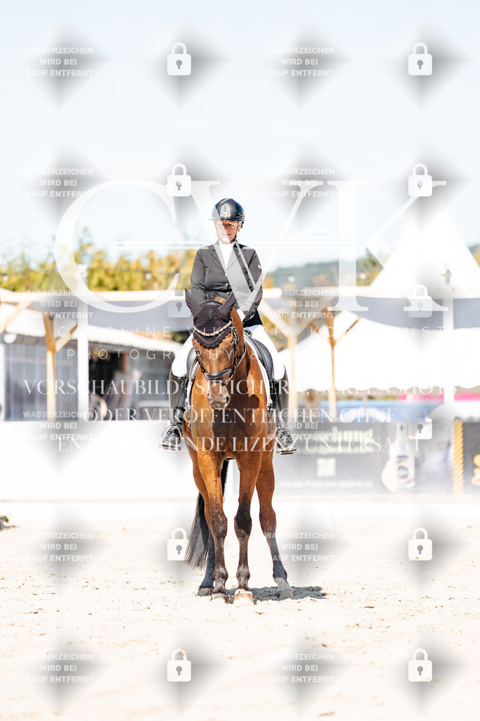 CK909242 | Turnierfotografie Pferdefotografie Trier Rheinland-Pfalz Pferdesport Reitsport Tierfotografie Sportfotografie Pferdevideo Pferdevideografie Equestrianvideography equestrianphotography  - Realisiert mit Pictrs.com