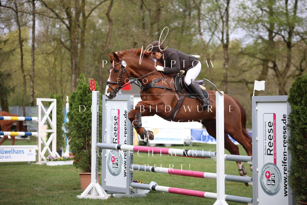 IMGT2300 | pl-fotografie