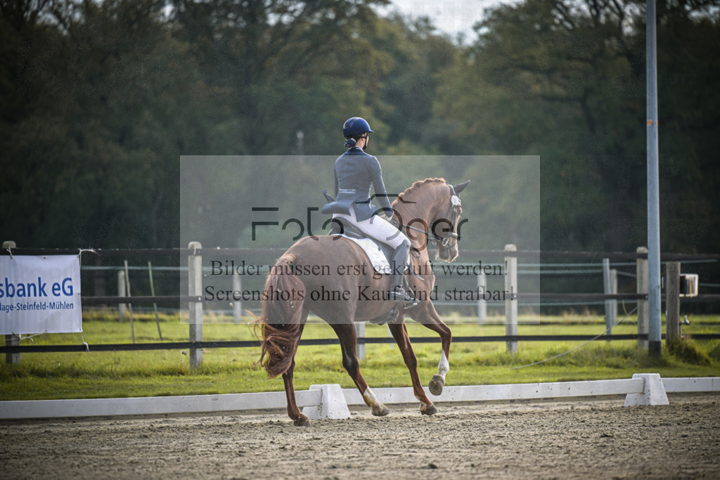 DOS_3009 | Entdecke hochwertige Reitturnierfotos von Foto Oger. Professionell, emotional und authentisch – jetzt Lieblingsmomente im Shop bestellen.Deutschlandweite Turnierfotografie. - Realisiert mit Pictrs.com