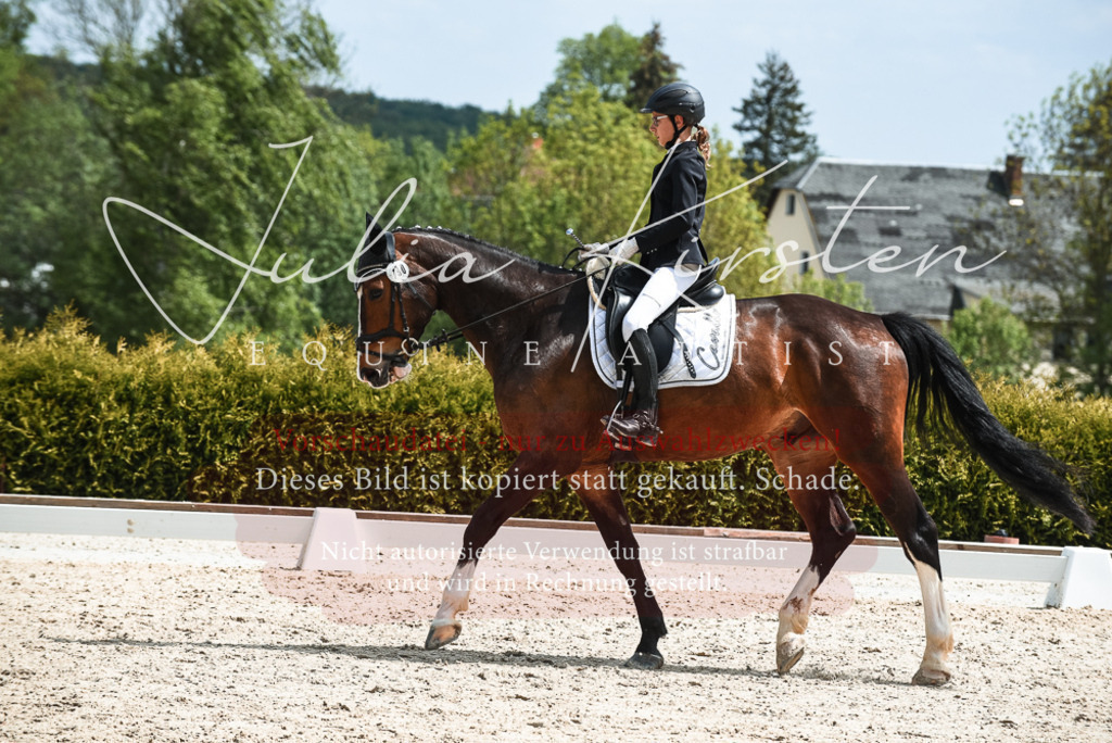 20230518_JK-Röhrsdorf-11-0393 | Pferde- und Turnierfotografie in Westsachsen. Pferdeportraits, Auftragszeichnungen und intuitive Kunst.