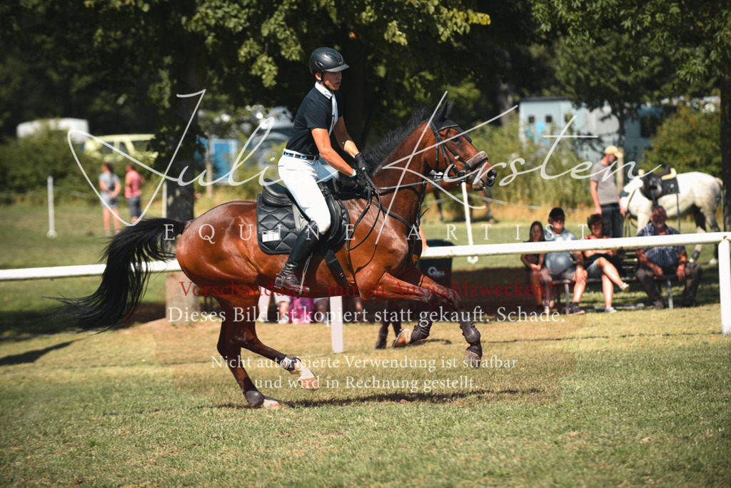 DSC_6994 | Pferde- und Turnierfotografie in Westsachsen. Pferdeportraits, Auftragszeichnungen und intuitive Kunst.