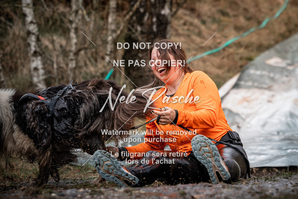 nelerasche_1330-1400_21 | nelerasche