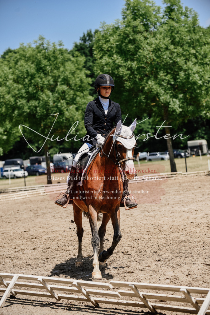 DSC_1948 | Pferde- und Turnierfotografie in Westsachsen. Pferdeportraits, Auftragszeichnungen und intuitive Kunst.