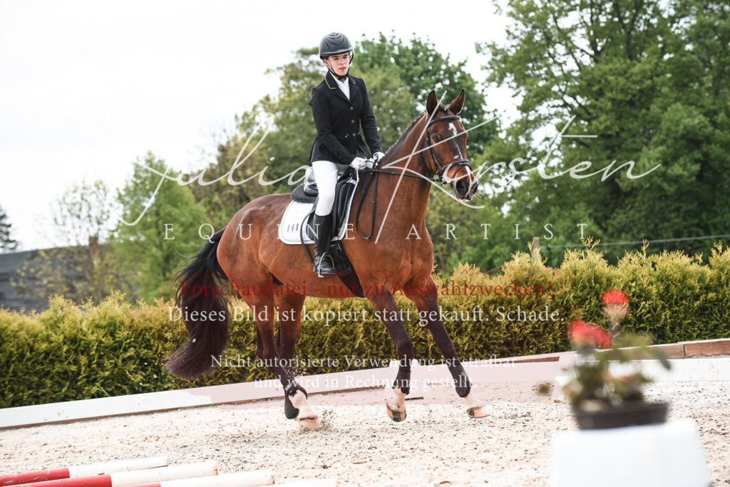 20230518_JK-Röhrsdorf-10-187 | Pferde- und Turnierfotografie in Westsachsen. Pferdeportraits, Auftragszeichnungen und intuitive Kunst.