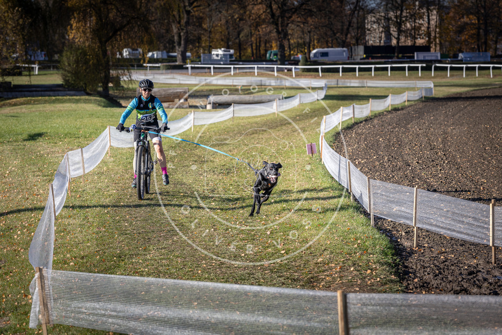 CaniXpix_DV3A4627 | Hundefotografie, Tierfotograf, Pfotenfotografie, Fotoshooting Hund, Hunde Portrait, Hundesport, Hundeportraits, Heideshooting, Hunde, Sportfotograf, Hundefotograf, Turnierhundsport, THS,  - Realisiert mit Pictrs.com