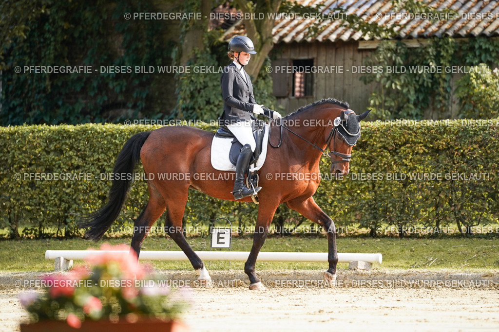 DSC05646 | Pferdegrafie