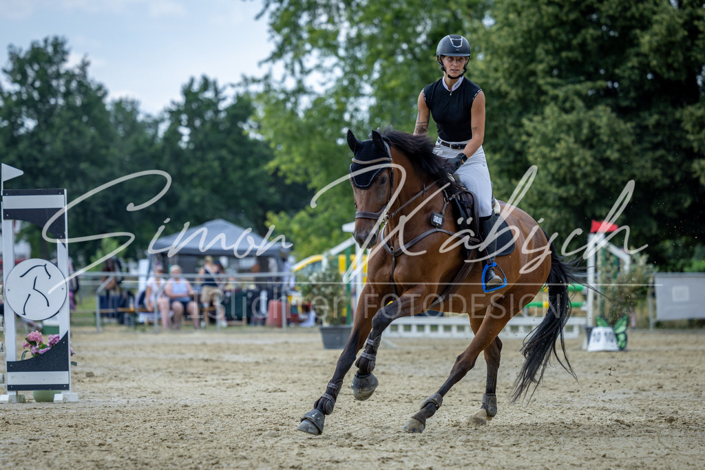 20260704-_3LI1544 | Tierfotografie Pferde, Hunde, Katzen, Haustiere.
Turnierfotografie Reitturniere, Reiten, Springreiten, Dressur in Hanau, dem Main-Kinzig-Kreis und dem Rhein-Main- Gebiet um Frankfurt