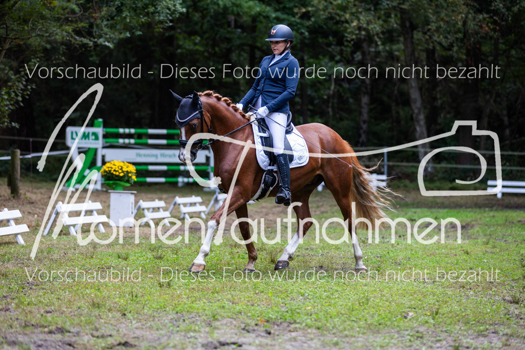 HB-A-Dressur-149 | MomenTaufnahmen Pferdesportfotos