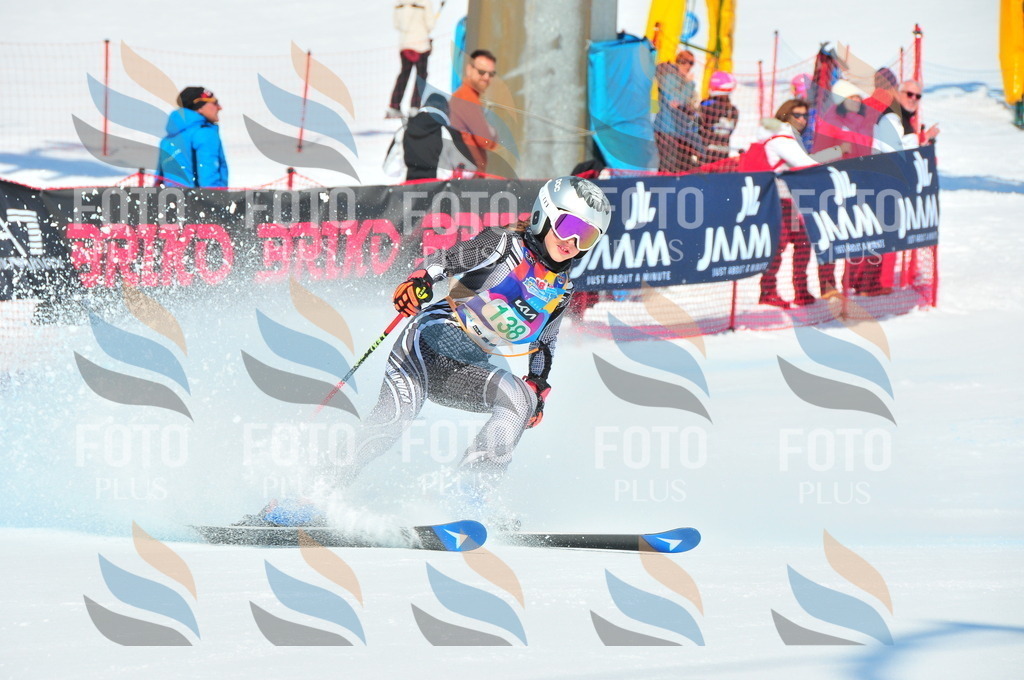 DSC_1138 | holidayphoto