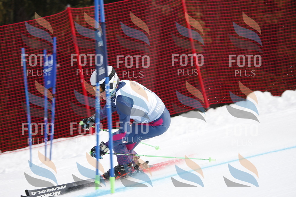 D4552 | holidayphoto