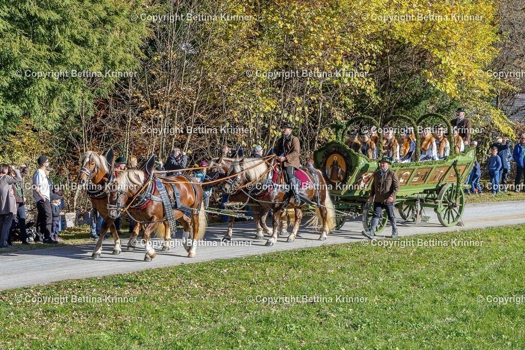 LBT25-848 | foto-bettina-krinner - Realisiert mit Pictrs.com