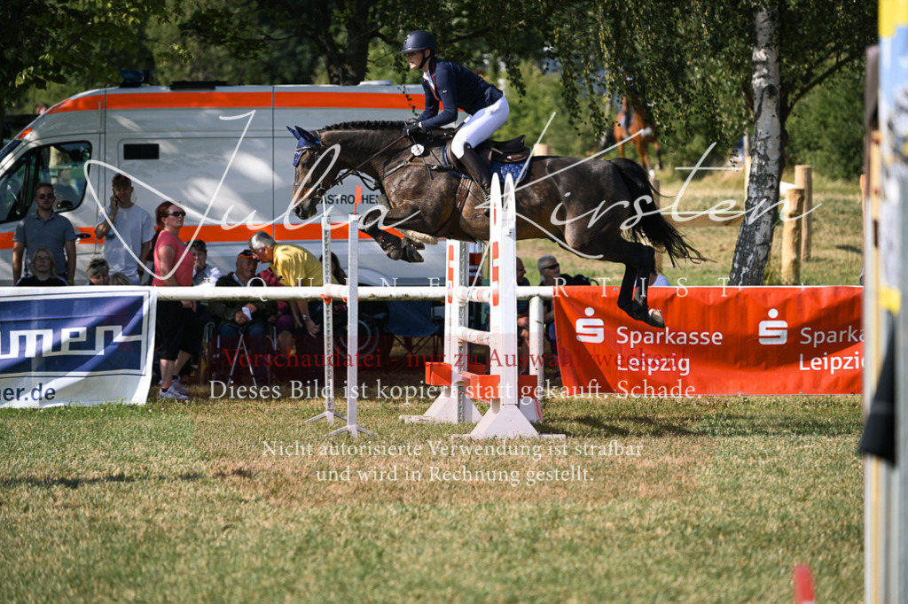 DSC_1423 | Pferde- und Turnierfotografie in Westsachsen. Pferdeportraits, Auftragszeichnungen und intuitive Kunst.