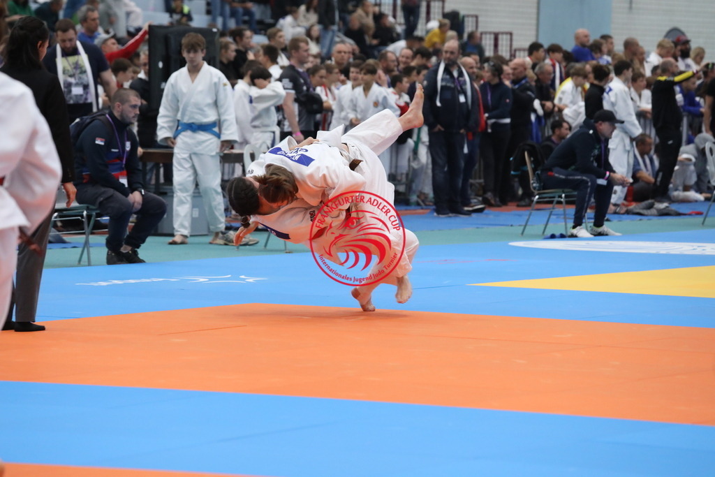 1J7A3456 | Fotos vom Adler Cup - Pictures from Adler Cup

Hier findet Ihr alle Eindrücke und großen Momente der Adler Cup Wochenenden. Here you will find all impressions and great moments of the Adler Cup weekends. - Realisiert mit Pictrs.com