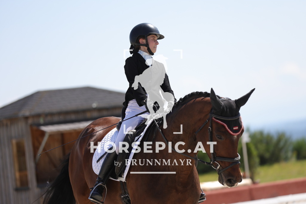 0P6A7232 | Willkommen bei Brunnmayr - Design & Fotografie – Ihrem Spezialisten für Reitturniere und Pferdeveranstaltungen in Oberösterreich, Salzburg und Bayern! Seit über 17 Jahren sind wir leidenschaftlich dabei.