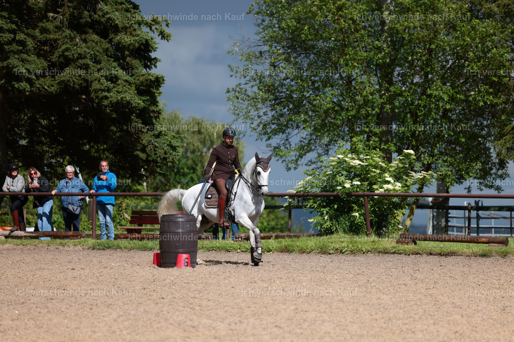 KlasseL_Stoibphotography_CAM23419.JPG | working equitationturnier fotograf videograf stoibphotography marixx film working equitation deutschland reitsport turnierfotografie eventfotografie equestrian events