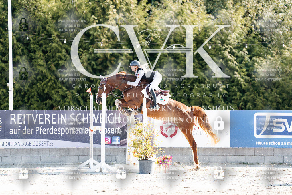 CK901868 | Turnierfotografie Pferdefotografie Trier Rheinland-Pfalz Pferdesport Reitsport Tierfotografie Sportfotografie Pferdevideo Pferdevideografie Equestrianvideography equestrianphotography  - Realisiert mit Pictrs.com