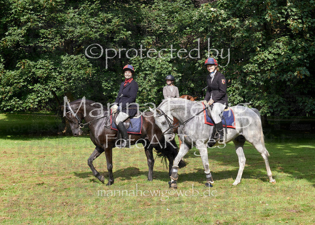 09-23 JAgd PerdölDSC02053_Marina Hewig | Fotografie, FotoArt, PferdesportArt, Pferdesportfotografie, Landschaftsfotografie, Reisefotografie, Reise, Pferde - Realisiert mit Pictrs.com